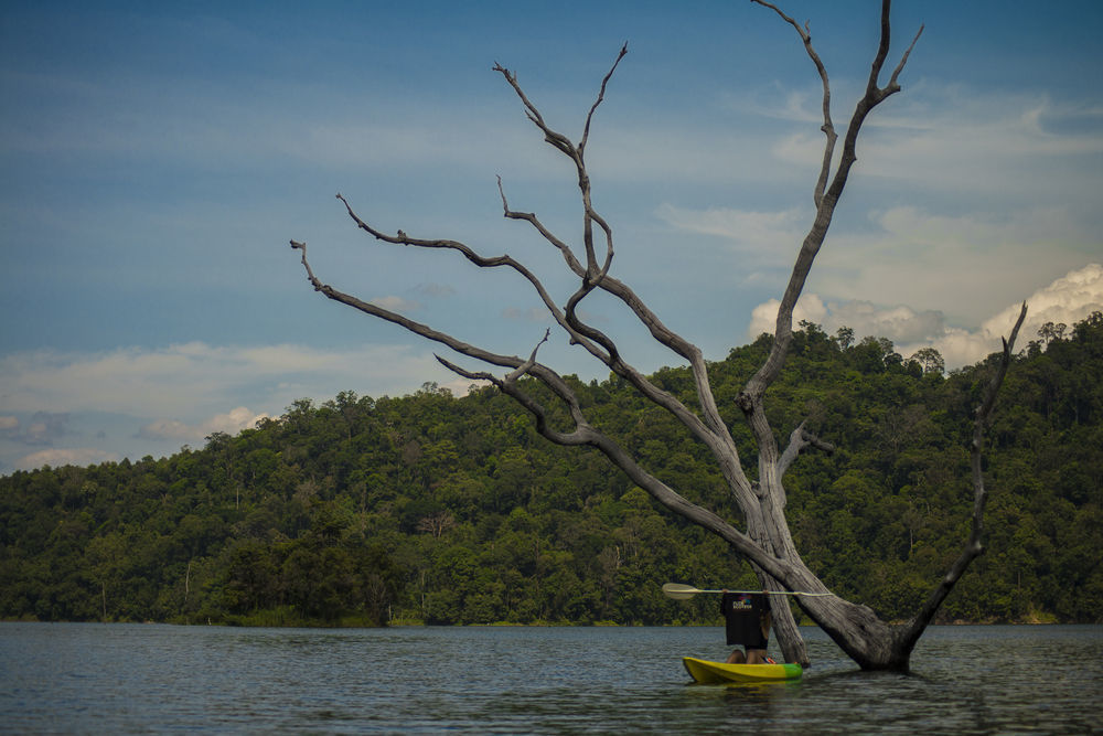 Belum Rainforest Resort Gerik Exteriér fotografie
