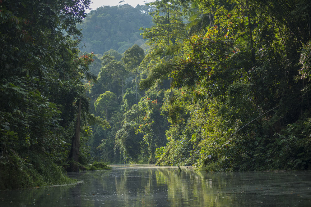 Belum Rainforest Resort Gerik Exteriér fotografie